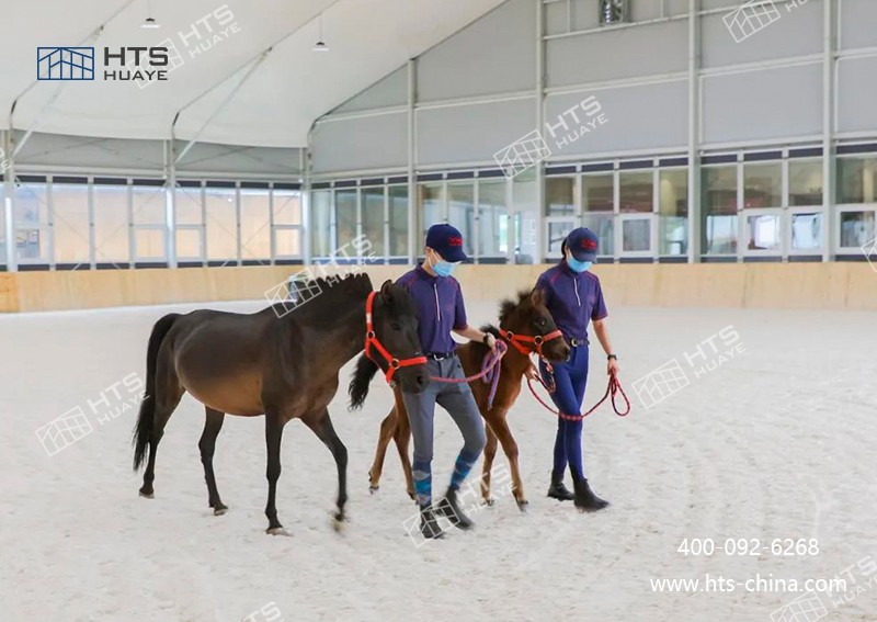 馬術館篷房為中小學開展馬術特色教育提供了有力支撐